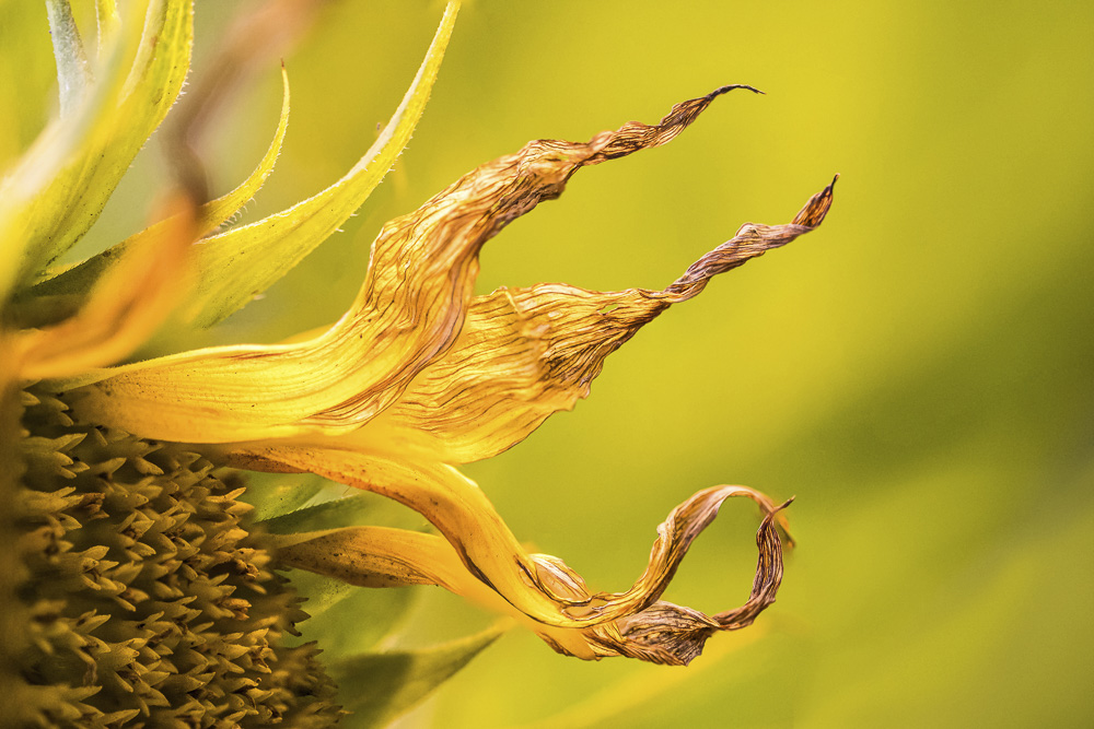 Monatsbilder Oktober 2019